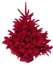 sapin de noel bruxelles nordmann floqué rouge