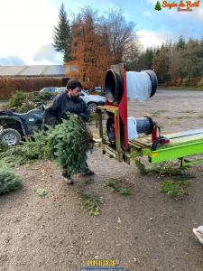 26-11-2019 16:07 - sapin nordmann belge livraison de sapin Anderlecht