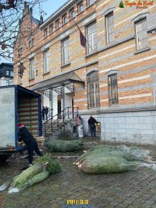 15-12-2019 09:05 - sapin nordmann belge livraison de sapin Anderlecht