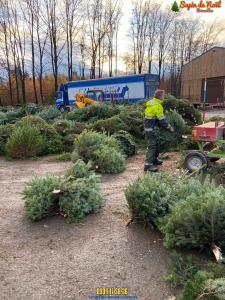 26-11-2019 16:07 - sapin nordmann belge livraison de sapin Anderlecht