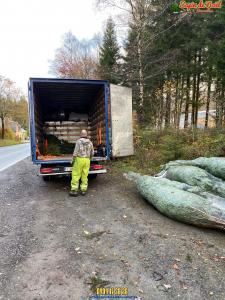 26-11-2019 16:07 - sapin nordmann belge livraison de sapin Anderlecht