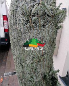 27-11-2021 10:12 - sapin nordmann belge livraison de sapin Baulers