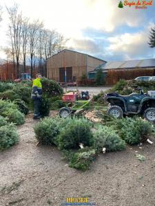 26-11-2019 16:07 - sapin nordmann belge livraison de sapin Baulers