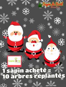 08-12-2019 09:54 - sapin nordmann belge livraison de sapin Berchem-Ste-Agathe