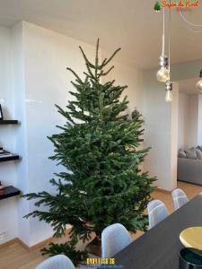 12-12-2019 08:02 - sapin nordmann belge livraison de sapin Berchem-Ste-Agathe