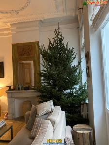 15-12-2019 09:05 - sapin nordmann belge livraison de sapin Berchem-Ste-Agathe