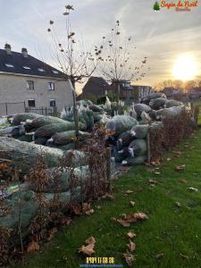 26-11-2019 16:07 - sapin nordmann belge livraison de sapin Berchem-Ste-Agathe