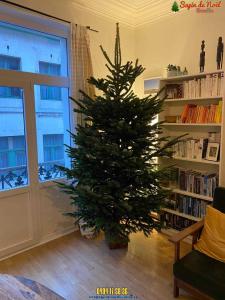 16-12-2019 09:42 - sapin nordmann belge livraison de sapin Berchem-Ste-Agathe