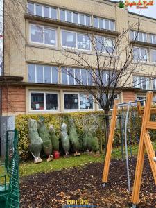 20-12-2019 07:40 - sapin nordmann belge livraison de sapin Berchem-Ste-Agathe