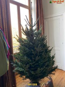 20-12-2019 07:40 - sapin nordmann belge livraison de sapin Berchem-Ste-Agathe