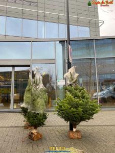 20-12-2019 07:41 - sapin nordmann belge livraison de sapin Berchem-Ste-Agathe