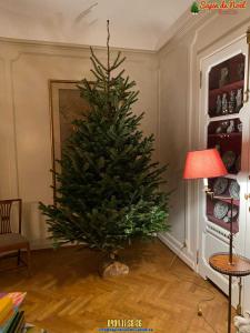 20-12-2019 07:41 - sapin nordmann belge livraison de sapin Berchem-Ste-Agathe