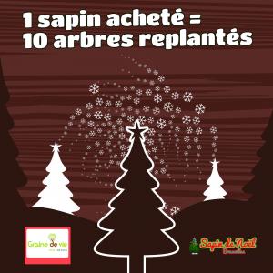 21-12-2019 14:59 - sapin nordmann belge livraison de sapin Berchem-Ste-Agathe