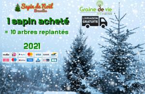 16-11-2020 00:18 - sapin nordmann belge livraison de sapin Berchem-Ste-Agathe