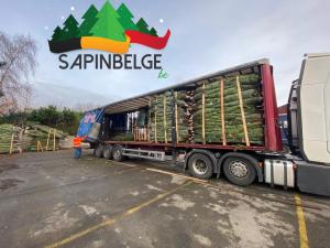 18-11-2020 11:06 - sapin nordmann belge livraison de sapin Berchem-Ste-Agathe