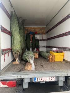 15-10-2021 12:34 - sapin nordmann belge livraison de sapin Berchem-Ste-Agathe