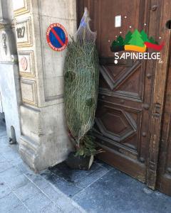 23-11-2021 12:32 - sapin nordmann belge livraison de sapin Berchem-Ste-Agathe