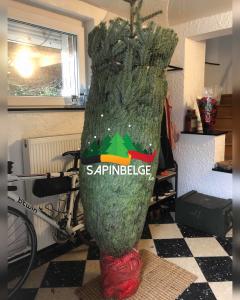 26-11-2021 14:22 - sapin nordmann belge livraison de sapin Berchem-Ste-Agathe