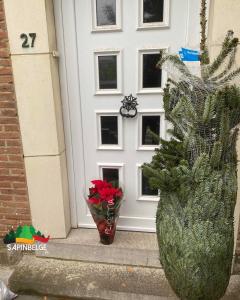 28-11-2021 18:56 - sapin nordmann belge livraison de sapin Berchem-Ste-Agathe