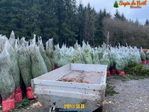 26-11-2019 16:07 - sapin nordmann belge livraison de sapin Berchem-Ste-Agathe