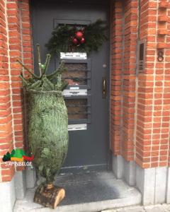 08-12-2021 00:17 - sapin nordmann belge livraison de sapin Berchem-Ste-Agathe