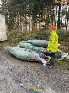 26-11-2019 16:07 - sapin nordmann belge livraison de sapin Berchem-Ste-Agathe