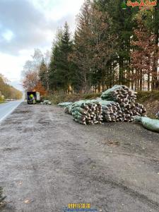 26-11-2019 16:07 - sapin nordmann belge livraison de sapin Berchem-Ste-Agathe