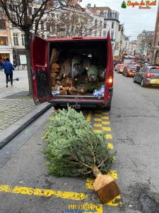 20-12-2019 07:41 - sapin nordmann belge livraison de sapin Bierges