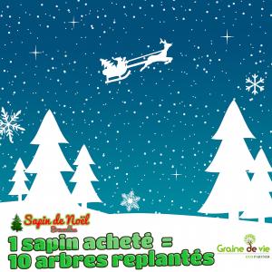 06-12-2019 23:35 - sapin nordmann belge livraison de sapin Ceroux-Mousty