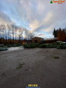 26-11-2019 16:07 - sapin nordmann belge livraison de sapin Ceroux-Mousty