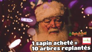 06-12-2019 23:35 - sapin nordmann belge livraison de sapin Court-Saint-Etienne