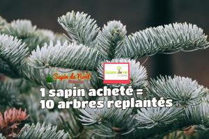 21-12-2019 14:59 - sapin nordmann belge livraison de sapin Etterbeek