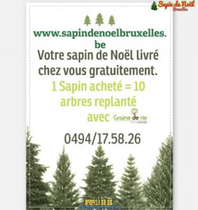 26-11-2019 16:07 - sapin nordmann belge livraison de sapin Etterbeek