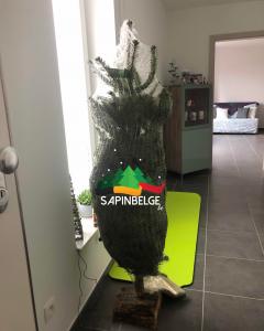 26-11-2021 14:22 - sapin nordmann belge livraison de sapin Etterbeek