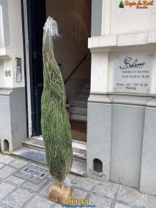 26-11-2019 16:07 - sapin nordmann belge livraison de sapin Etterbeek