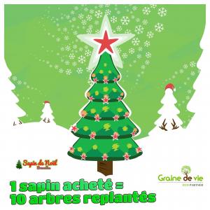 03-12-2019 12:09 - sapin nordmann belge livraison de sapin Evere