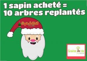 06-12-2019 23:35 - sapin nordmann belge livraison de sapin Evere