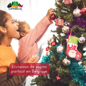 13-11-2021 09:36 - sapin nordmann belge livraison de sapin Evere