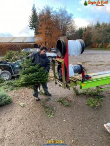 26-11-2019 16:07 - sapin nordmann belge livraison de sapin Evere