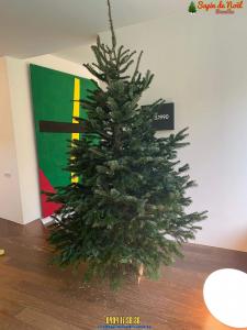 26-11-2019 16:07 - sapin nordmann belge livraison de sapin Evere