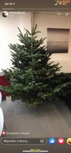 15-12-2019 09:05 - sapin nordmann belge livraison de sapin Forest