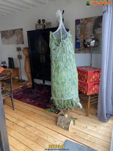 26-11-2019 16:07 - sapin nordmann belge livraison de sapin Forest