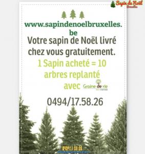 26-11-2019 16:07 - sapin nordmann belge livraison de sapin Haut-Ittre
