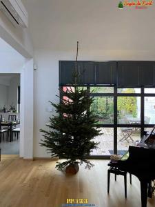 10-12-2019 22:28 - sapin nordmann belge livraison de sapin Houtain-Le-Val