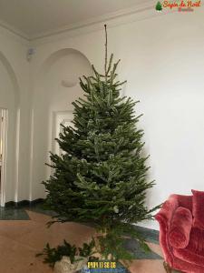 16-12-2019 09:42 - sapin nordmann belge livraison de sapin Houtain-Le-Val