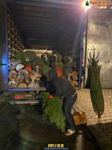 16-12-2019 09:42 - sapin nordmann belge livraison de sapin Houtain-Le-Val