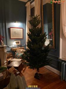 20-12-2019 07:40 - sapin nordmann belge livraison de sapin Houtain-Le-Val