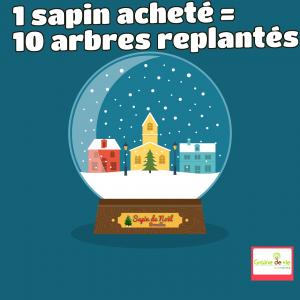 20-12-2019 07:41 - sapin nordmann belge livraison de sapin Houtain-Le-Val