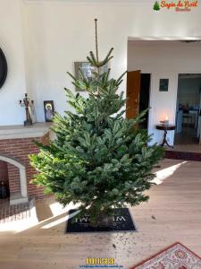 21-12-2019 14:59 - sapin nordmann belge livraison de sapin Houtain-Le-Val