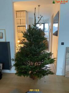 21-12-2019 14:59 - sapin nordmann belge livraison de sapin Houtain-Le-Val